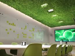 moss ceiling